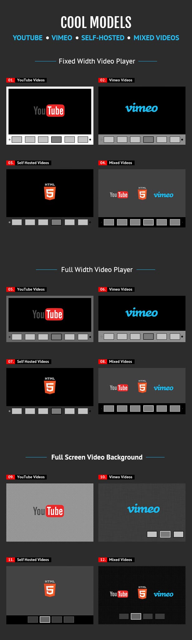 Video Player and FullScreen Video Background Wp Plugin